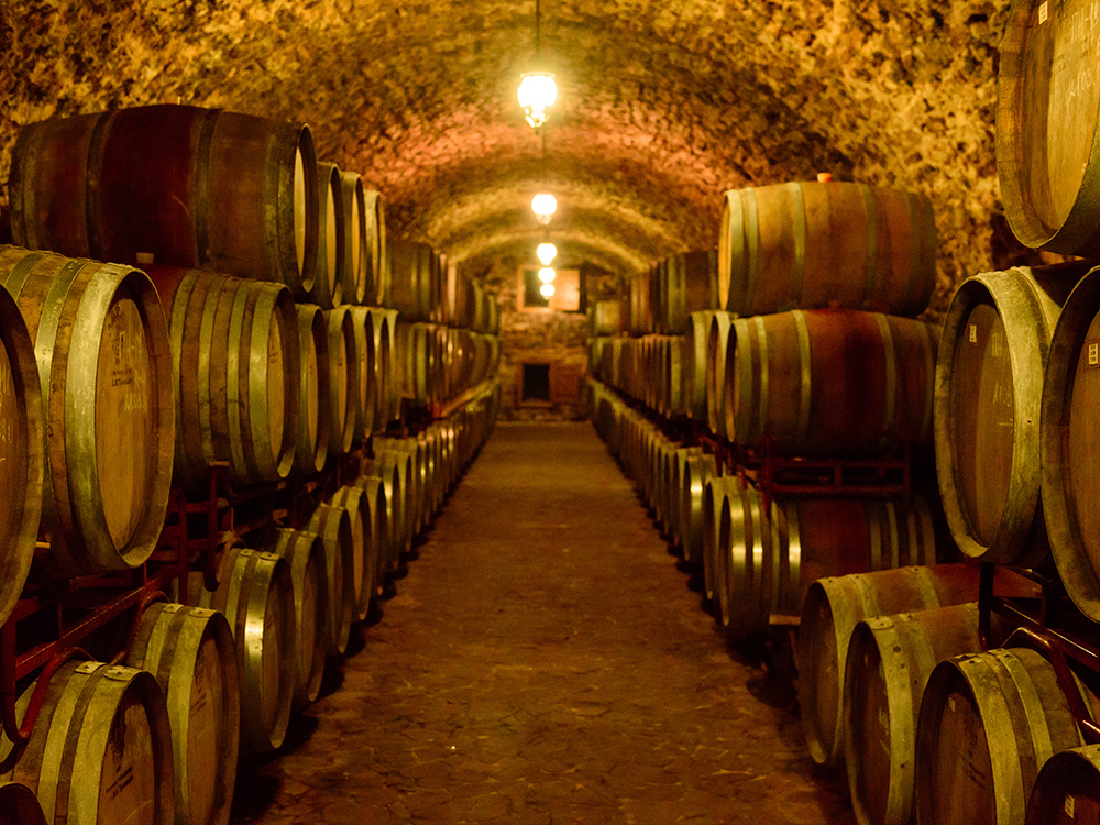CAWineCountry4