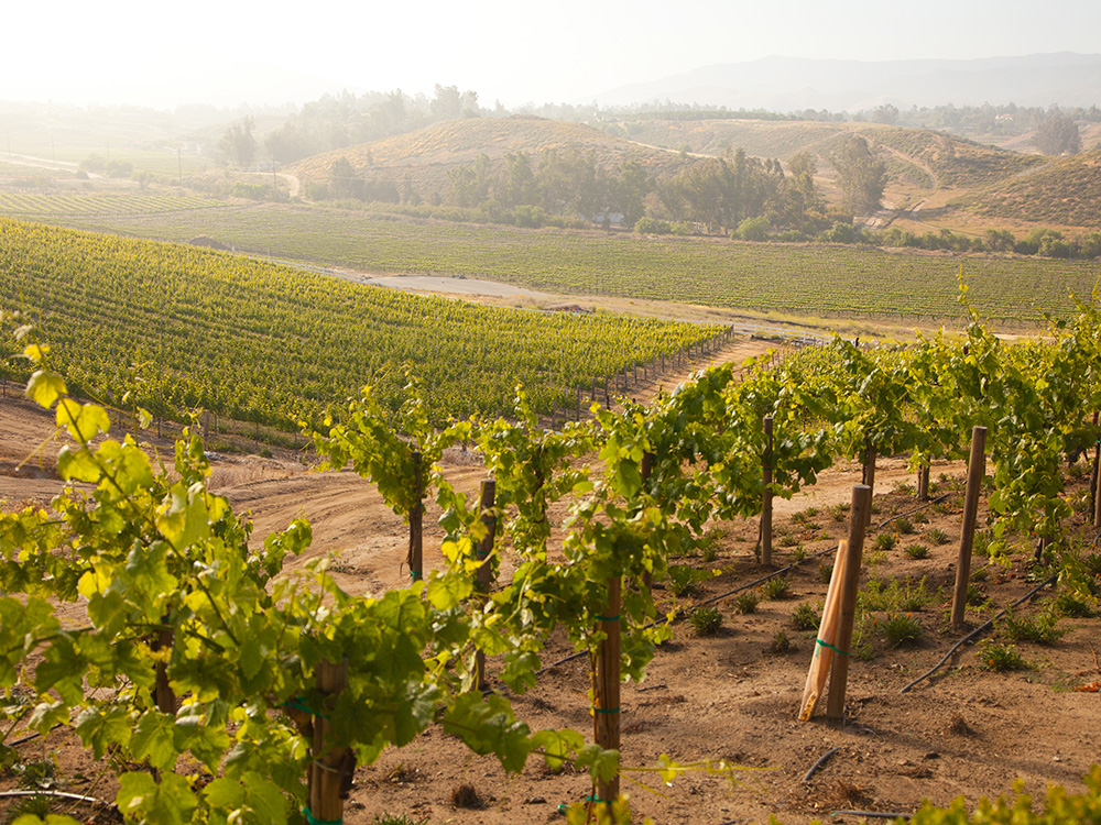 CAinwcountry14