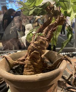 Harry Potter WB London Studio Tours